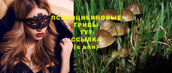 твердый Алзамай